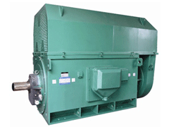 YJTKK4002-2YKK系列高压电机