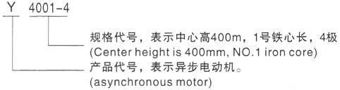 西安泰富西玛Y系列(H355-1000)高压YJTKK4002-2三相异步电机型号说明